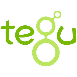jouets en bois magnétiques Tegu® - Jouets en bois Responsable & écologiques Tegu jouets en bois magnétiques